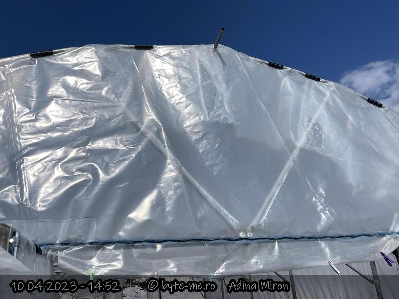 Coama iesita prin folie